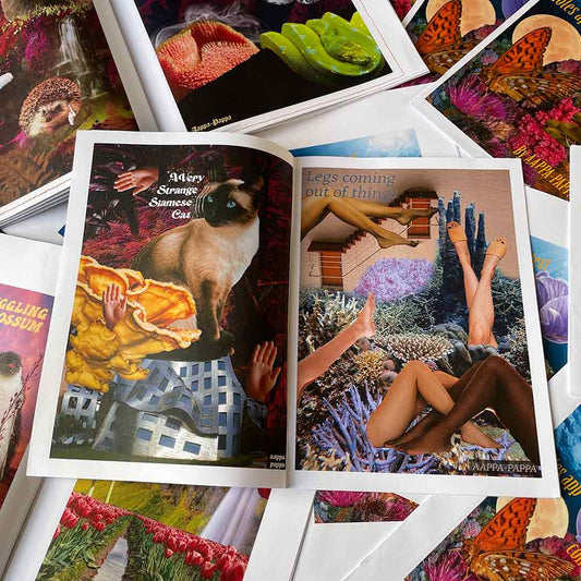 'No Context Notes App Collages' Zine