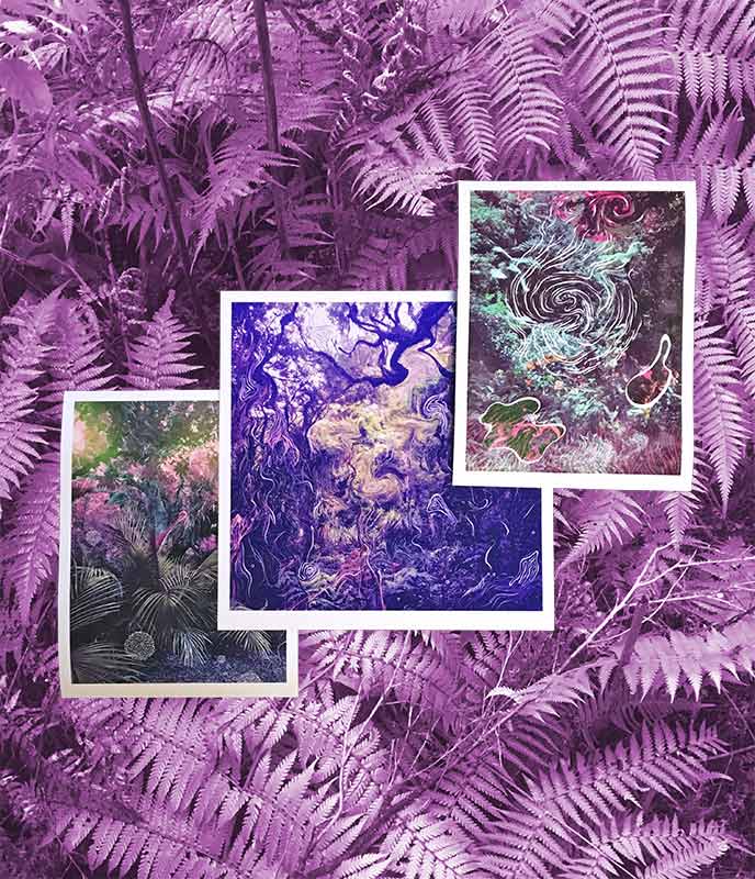 'Knots' Archival Print