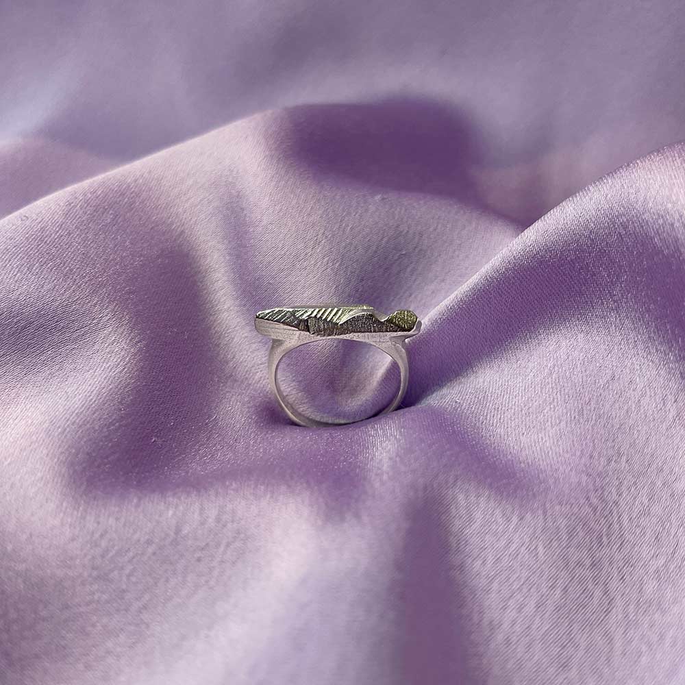 The Shard Ring