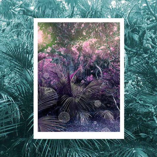 'Bit Drama' Archival Print