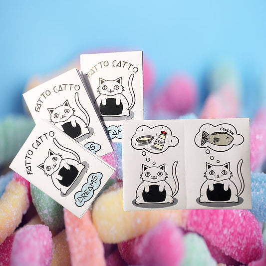 'Fatto Catto Dreams' Zine