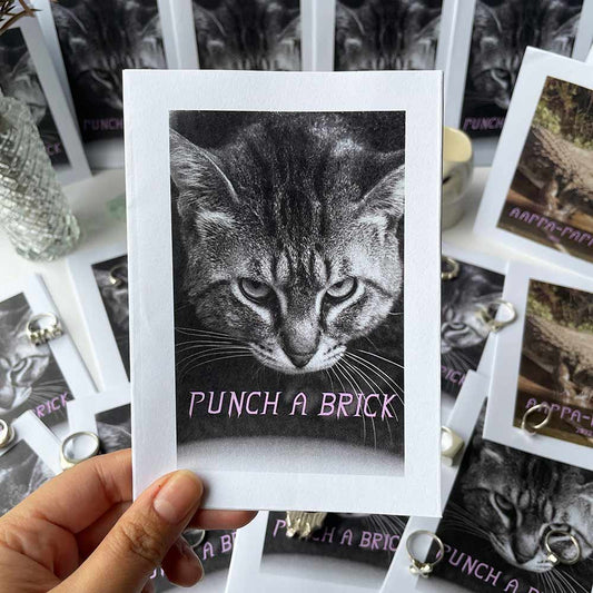 'Punch A Brick' Zine